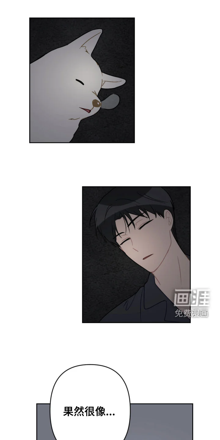 恋爱攻势 第106章：同眠 第16页