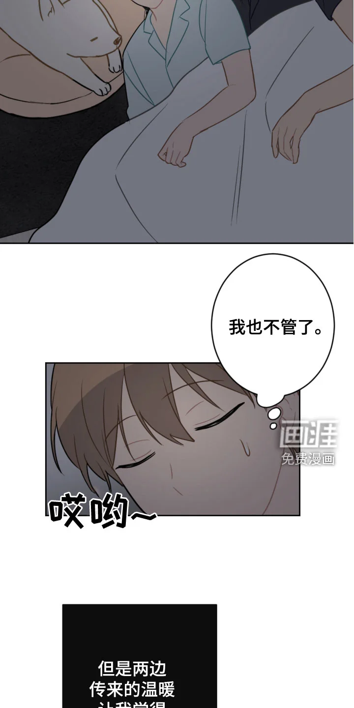 恋爱攻势 第106章：同眠 第13页