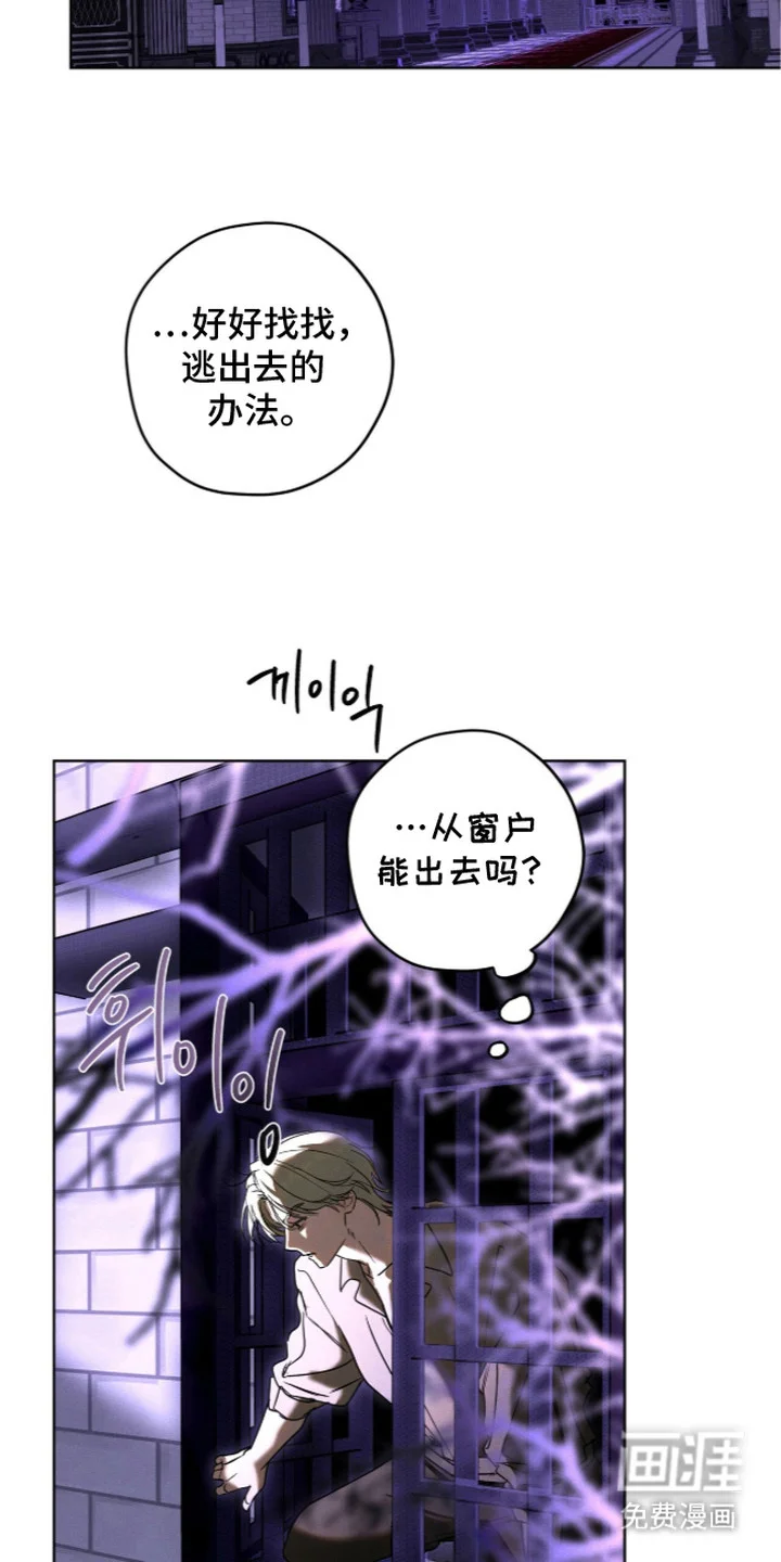 恶魔的诱饵 第3章：慌不择路 第12页
