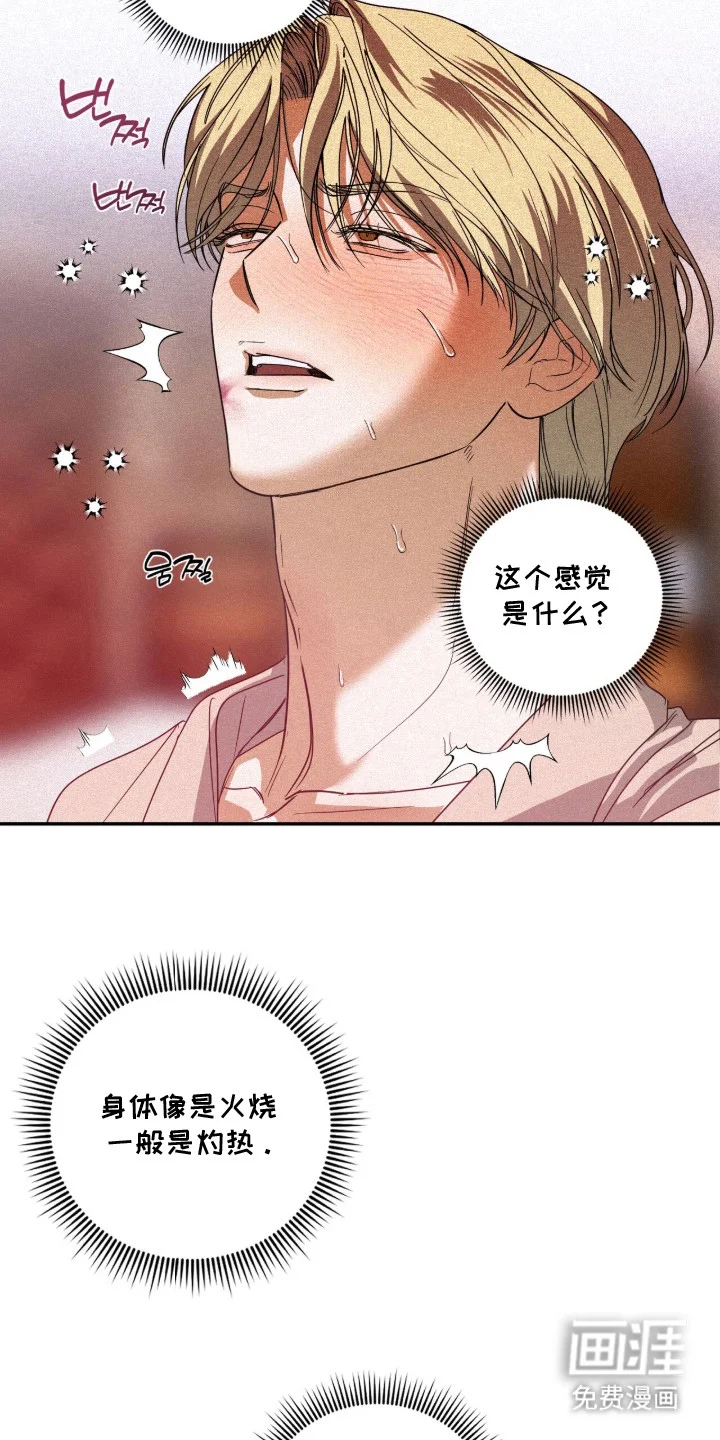 恶魔的诱饵 第8章：奇怪的感觉 第5页