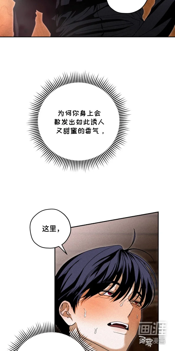 恶魔的诱饵 第8章：奇怪的感觉 第3页