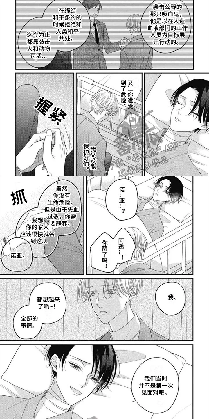 我的吸血鬼 第9章：醒来回忆 第2页