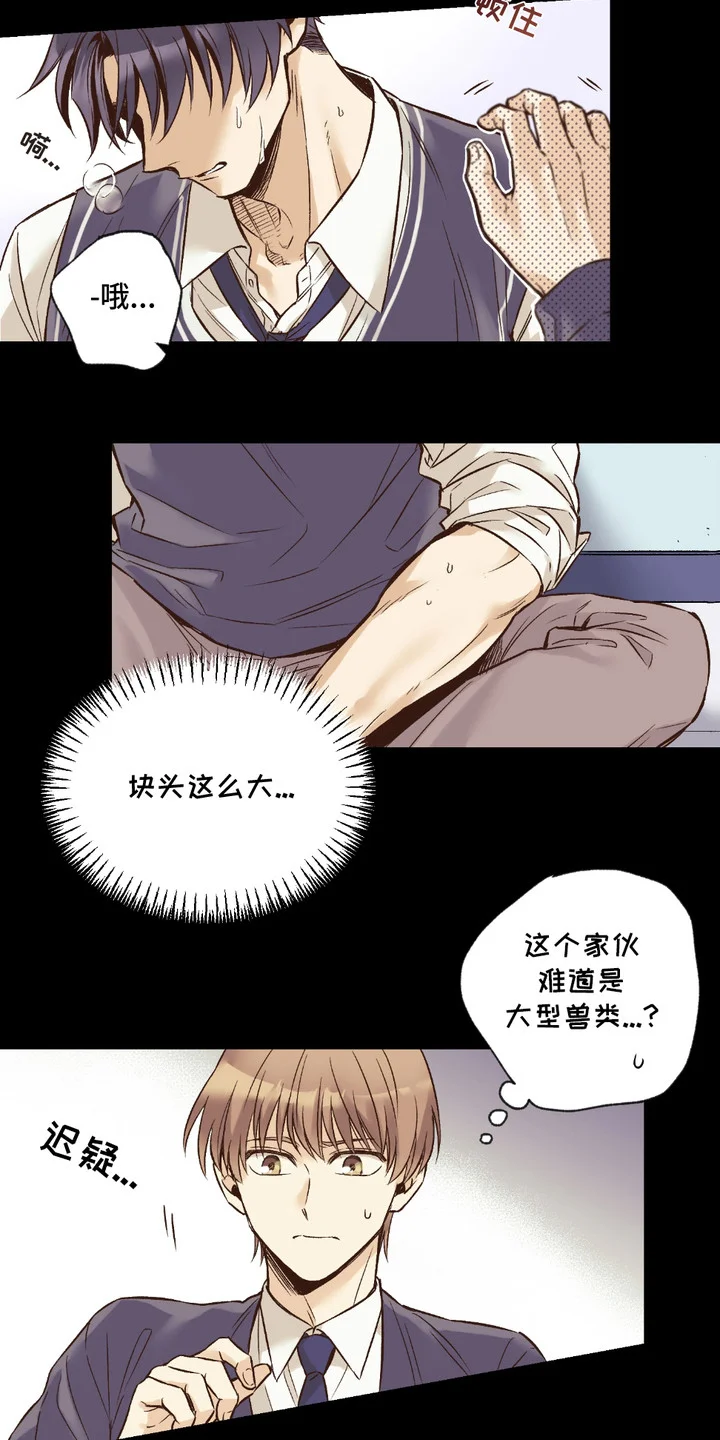 我的猛兽伴侣 第1章： 兽人在读生 第12页