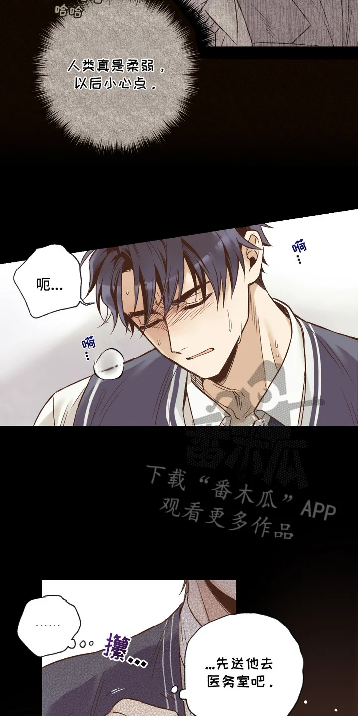 我的猛兽伴侣 第1章： 兽人在读生 第14页