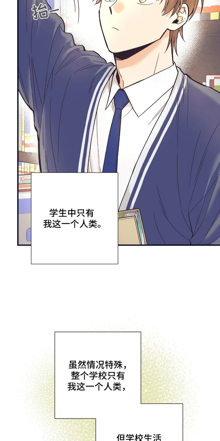 我的猛兽伴侣 第1章： 兽人在读生 第4页