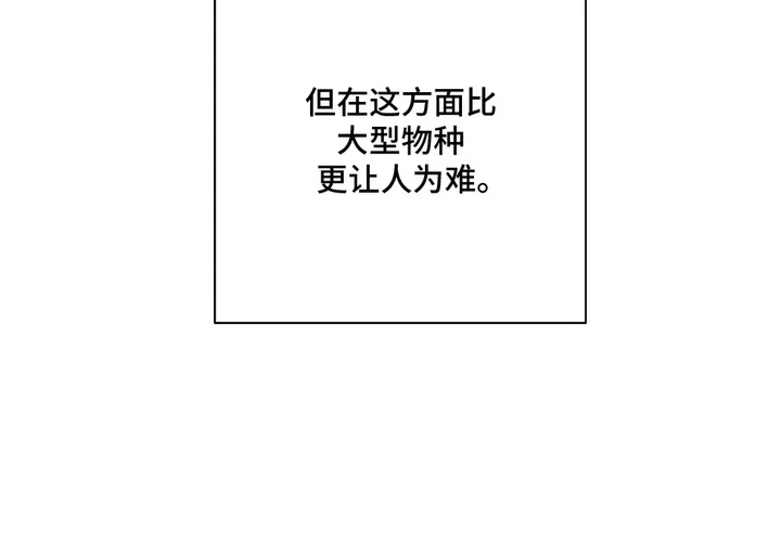 我的猛兽伴侣 第1章： 兽人在读生 第20页