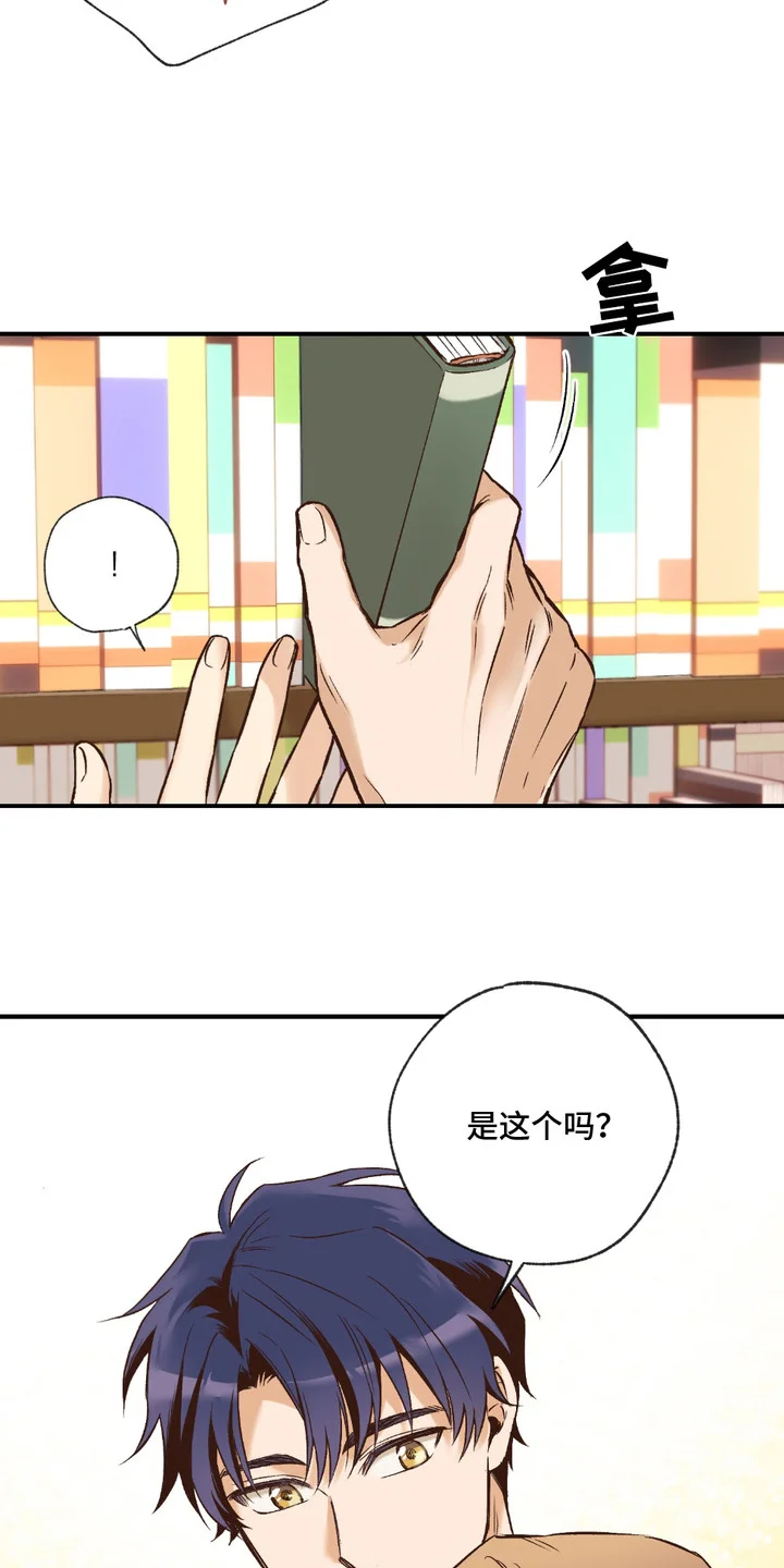 我的猛兽伴侣 第1章： 兽人在读生 第6页