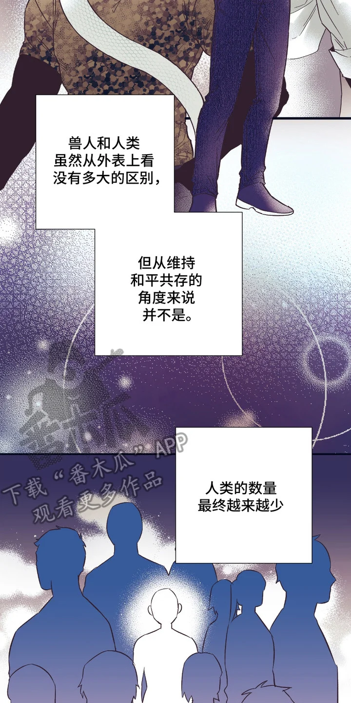 我的猛兽伴侣 第1章： 兽人在读生 第2页