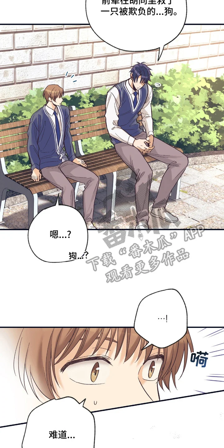 我的猛兽伴侣 第12章：解释 第17页