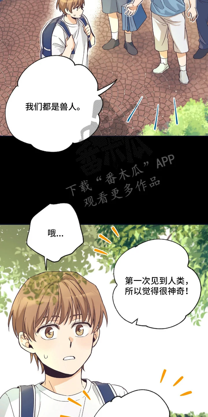 我的猛兽伴侣 第8章：猛兽 第14页