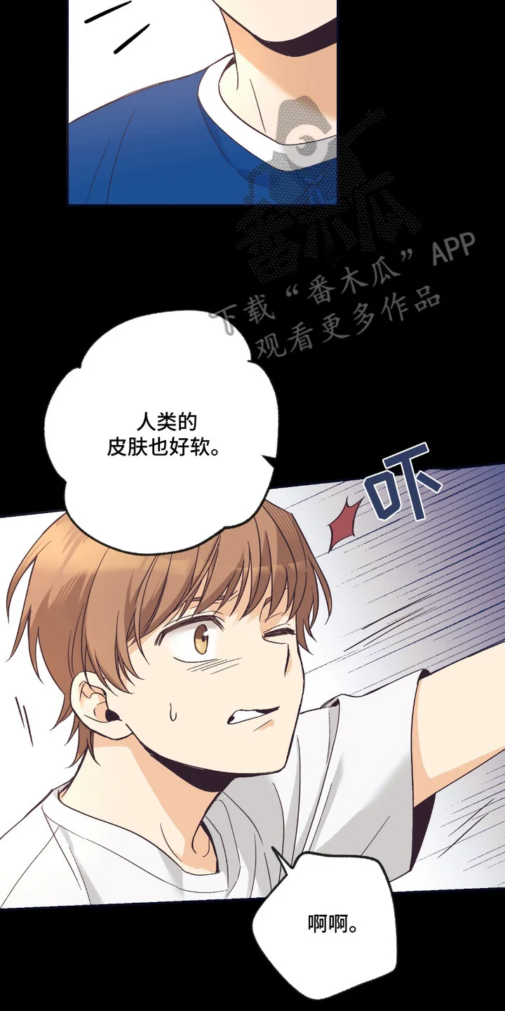 我的猛兽伴侣 第9章：很疲惫 第2页