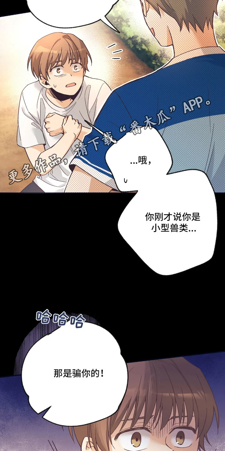 我的猛兽伴侣 第9章：很疲惫 第5页