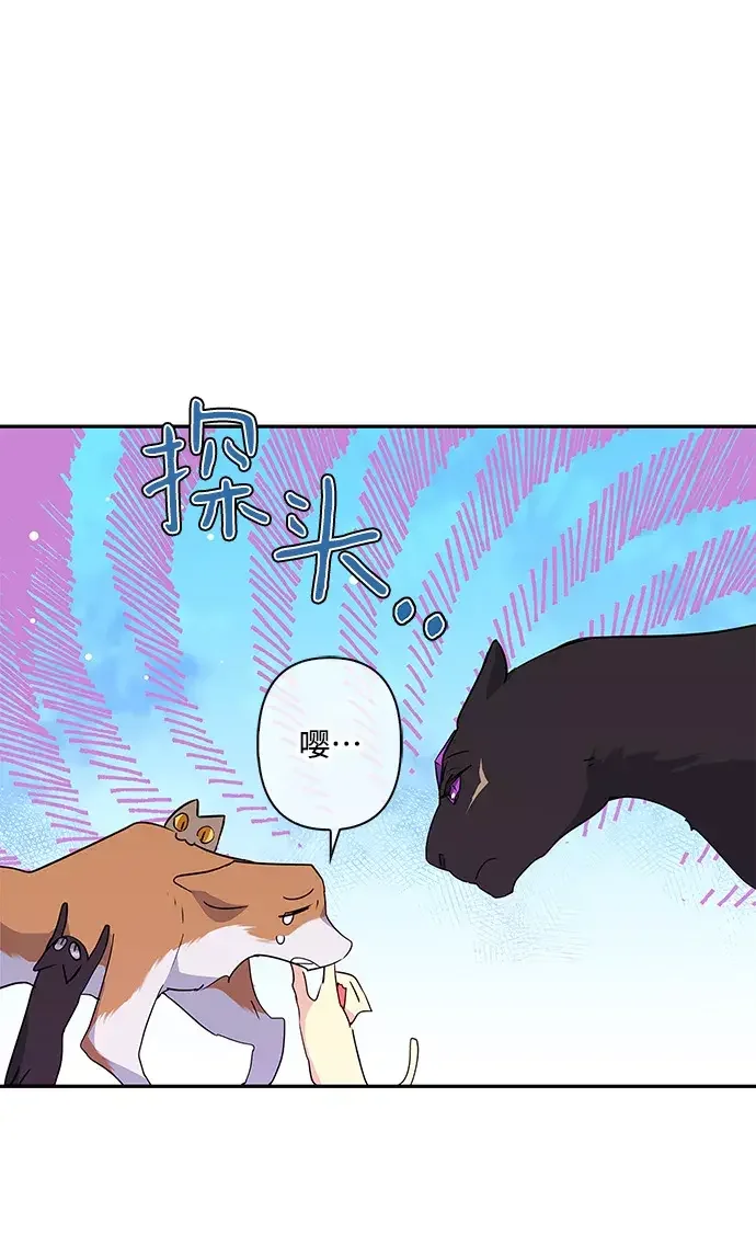 我的野蛮萌友 外传 4话 第4页
