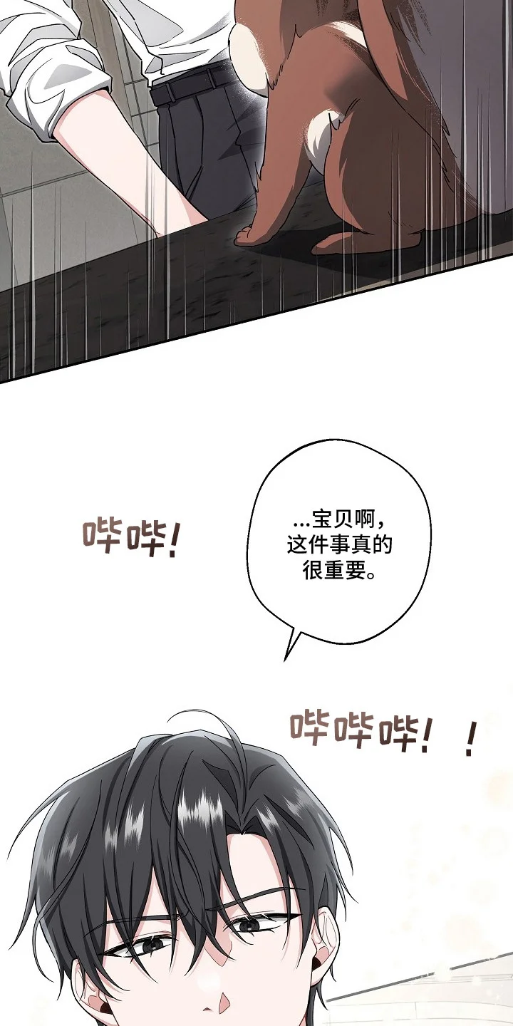 我的饲主是债主 第1章：最大危机 第3页