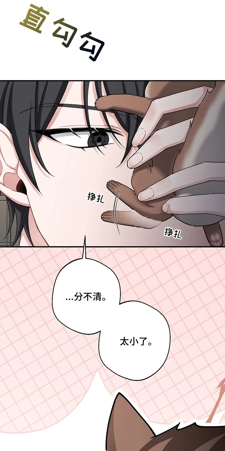 我的饲主是债主 第1章：最大危机 第9页