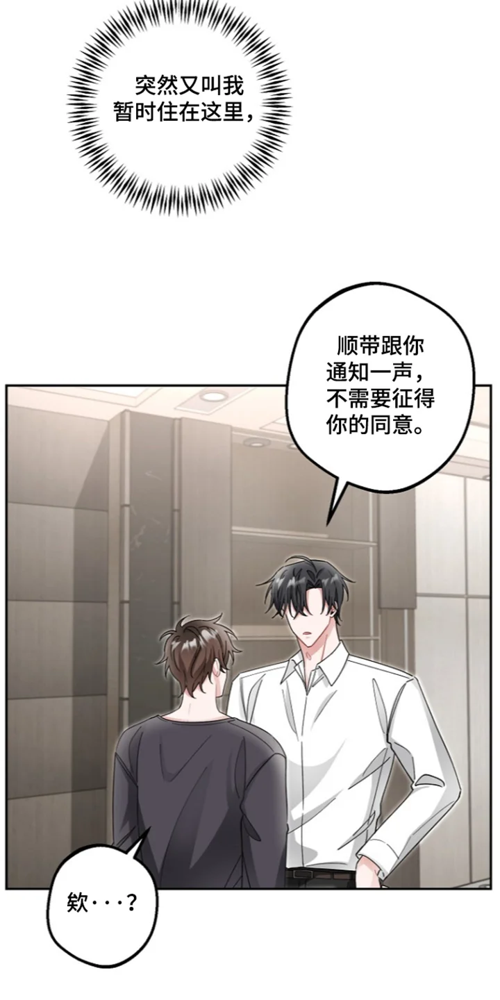 我的饲主是债主 第35章：快点起来 第14页