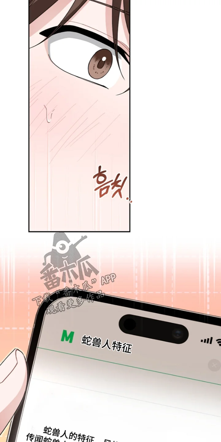 我的饲主是债主 第39章：不必在意 第11页