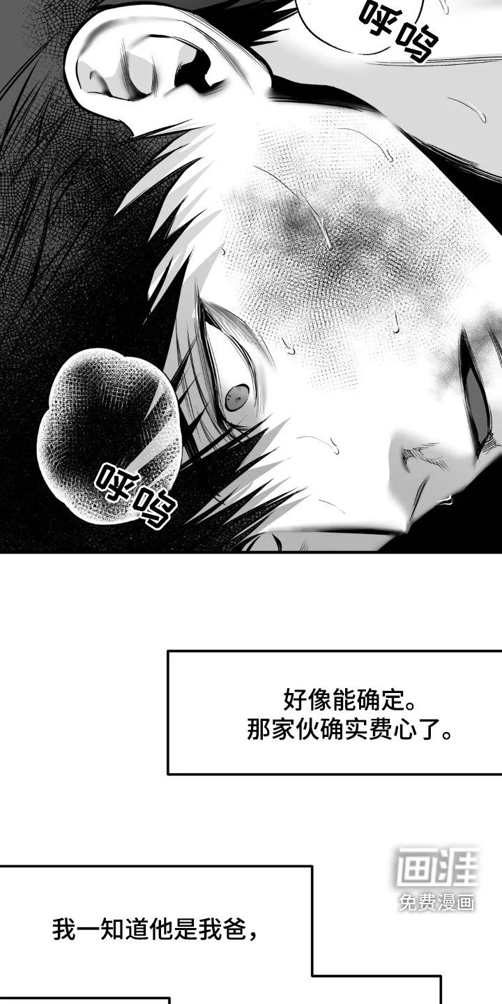 拳击手 第231章：【第三季】习惯 第17页