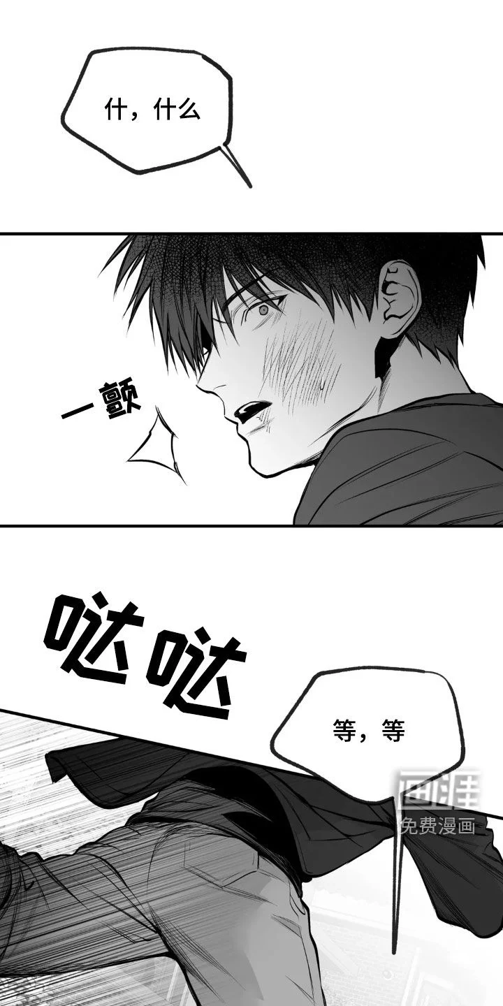 拳击手 第231章：【第三季】习惯 第1页