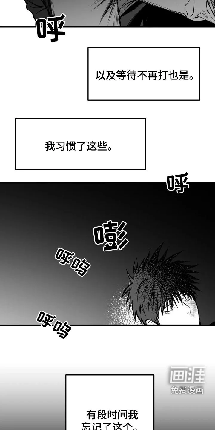 拳击手 第231章：【第三季】习惯 第20页