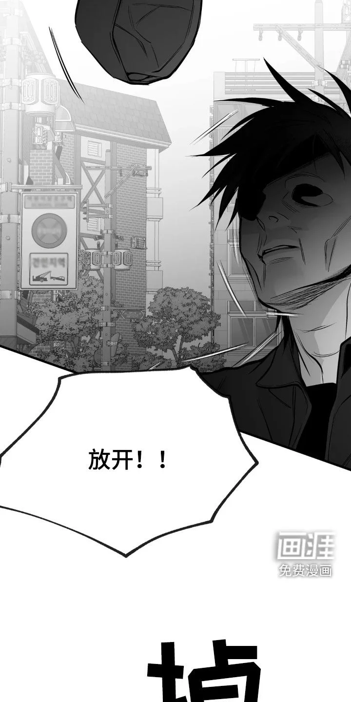 拳击手 第231章：【第三季】习惯 第5页