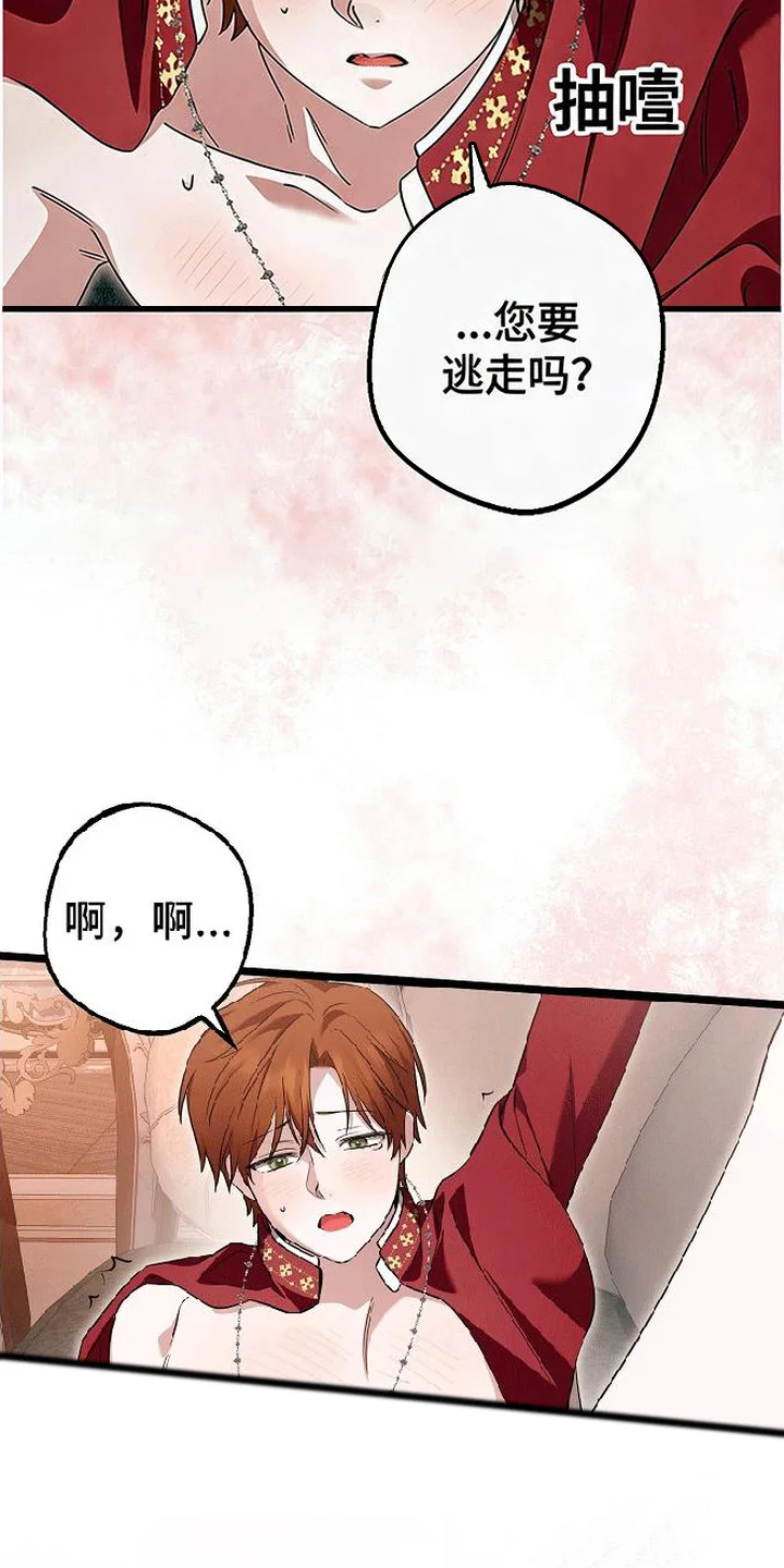 掌心祭司 第8章：负责任 第15页
