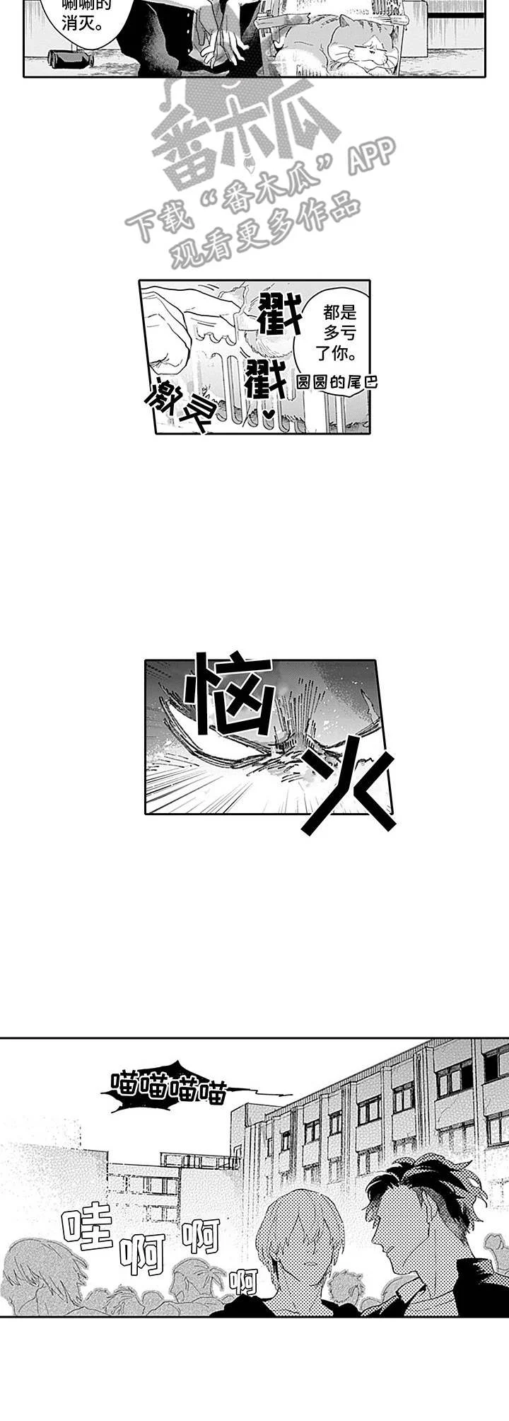 敌营恋人 第15章：慌了 第9页