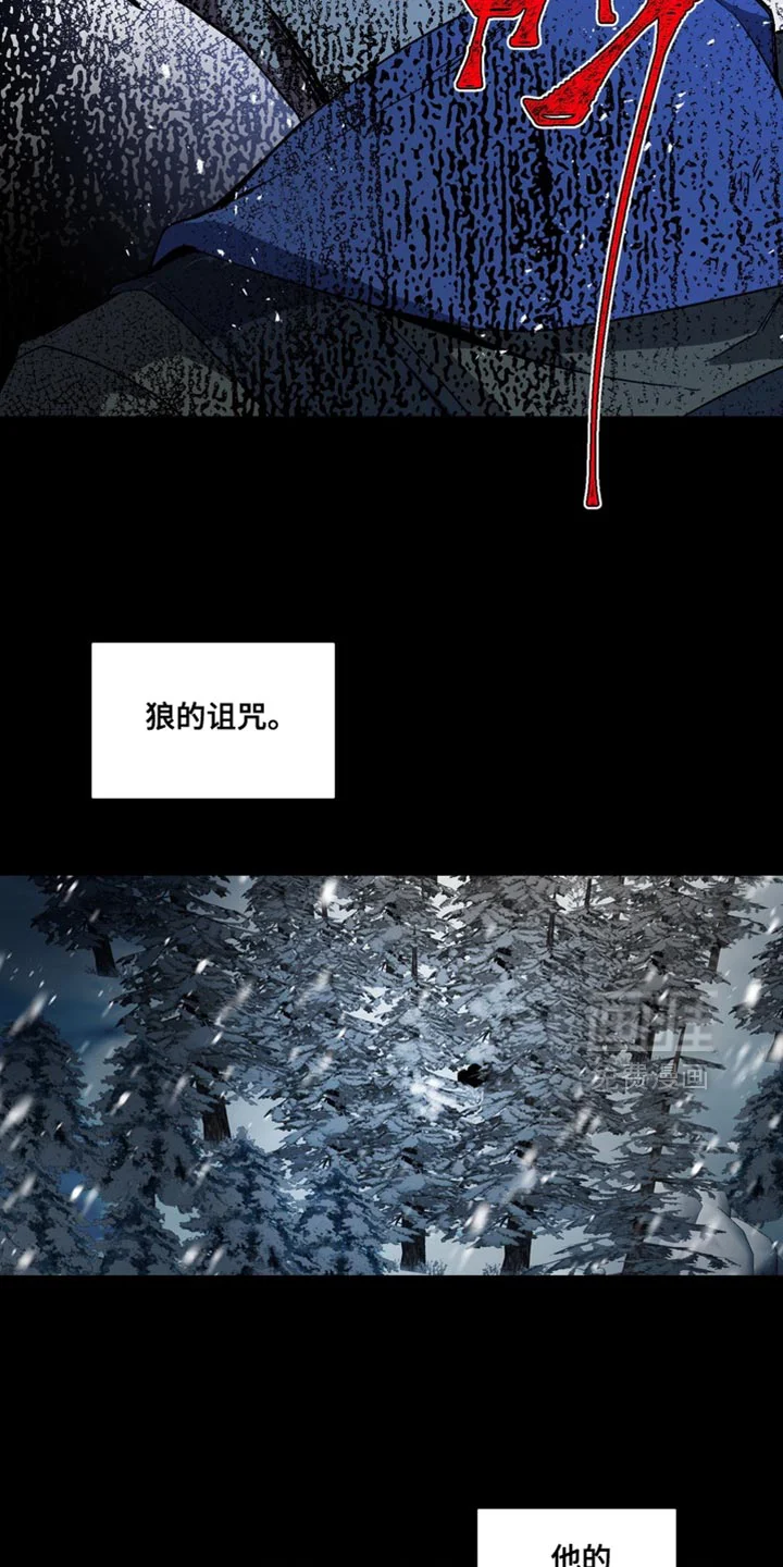 断脚外传 第37章：外传：狼王 第11页