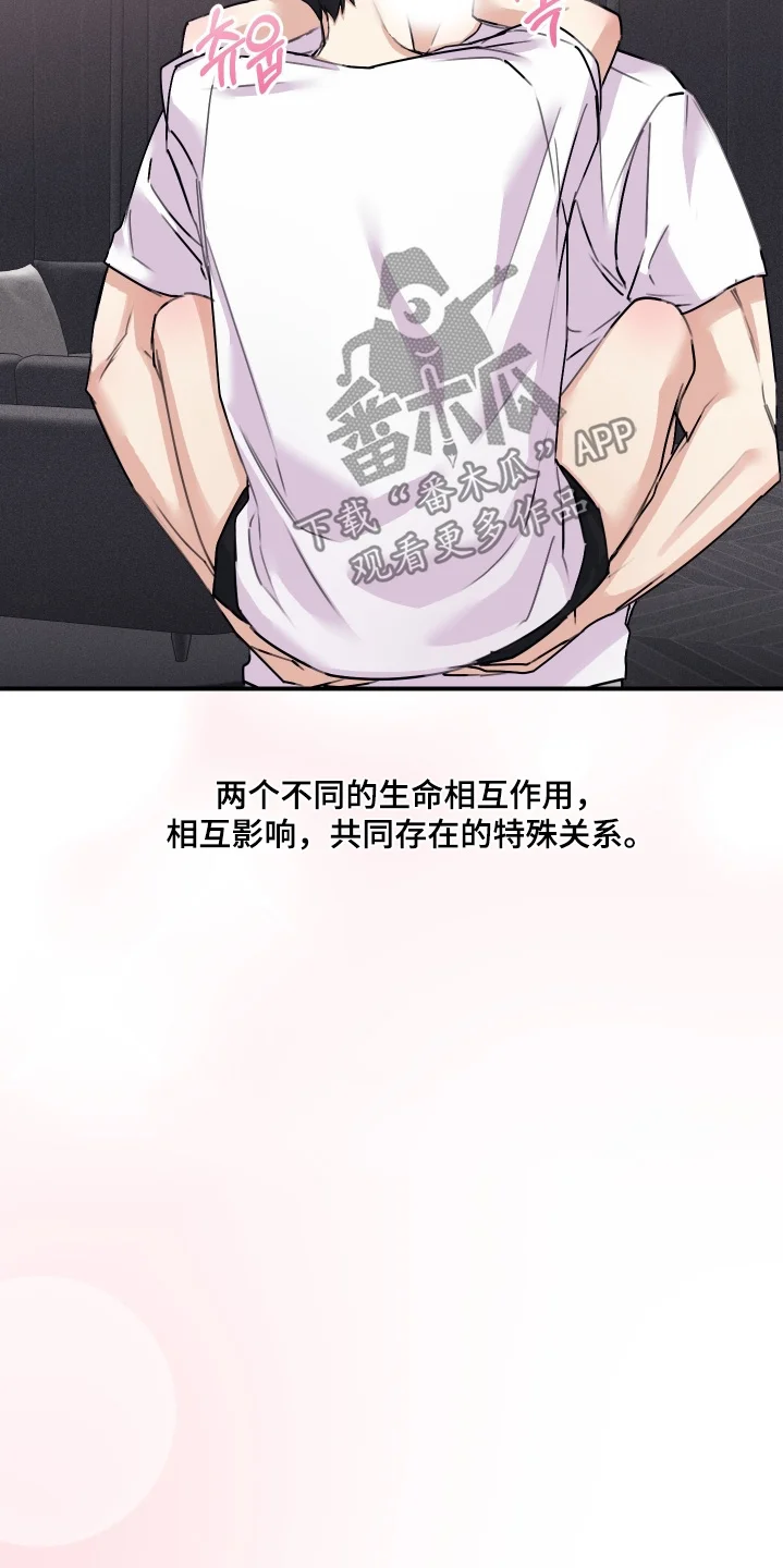日月共生 第142章：【第二季】肉麻（完结） 第19页