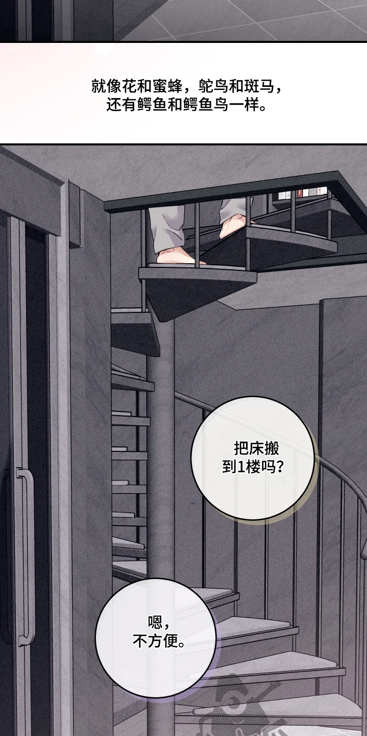 日月共生 第142章：【第二季】肉麻（完结） 第21页