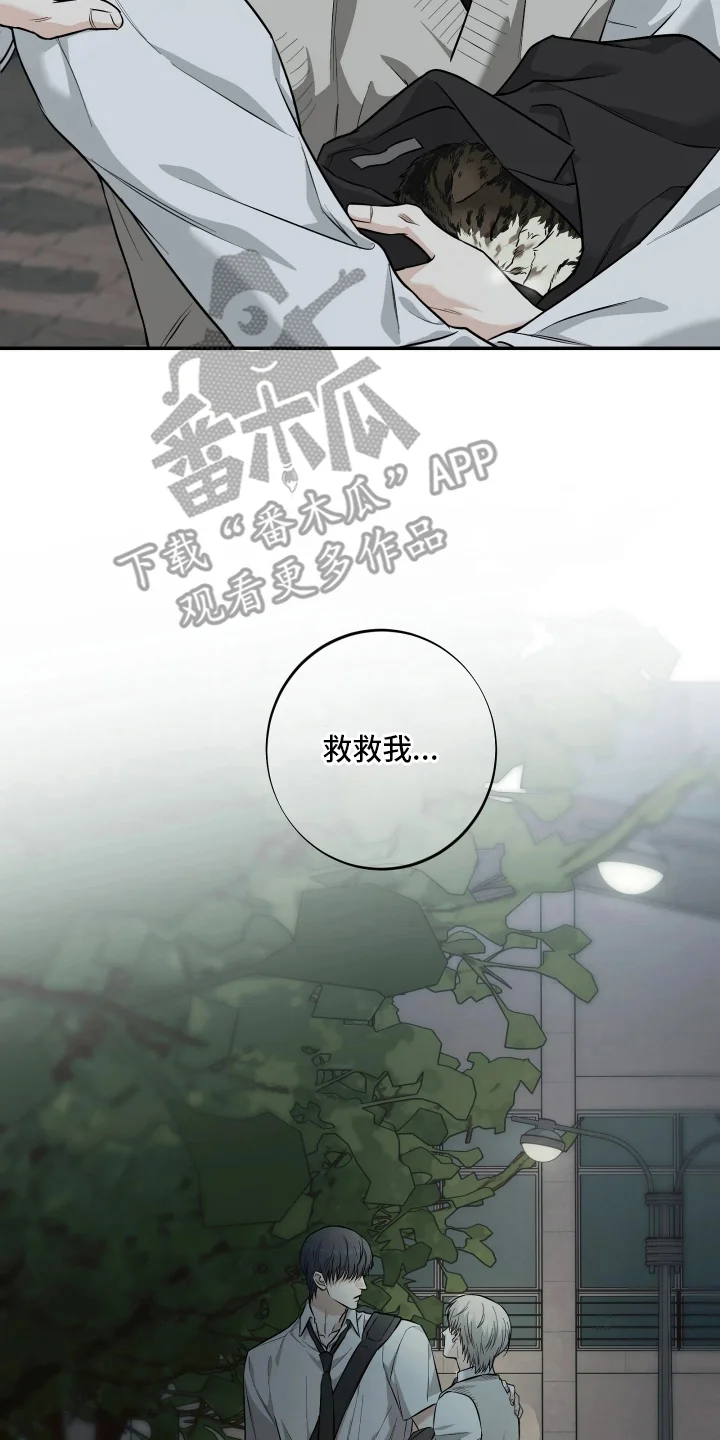 暴走搭档 第5章：第一次的情绪 第12页