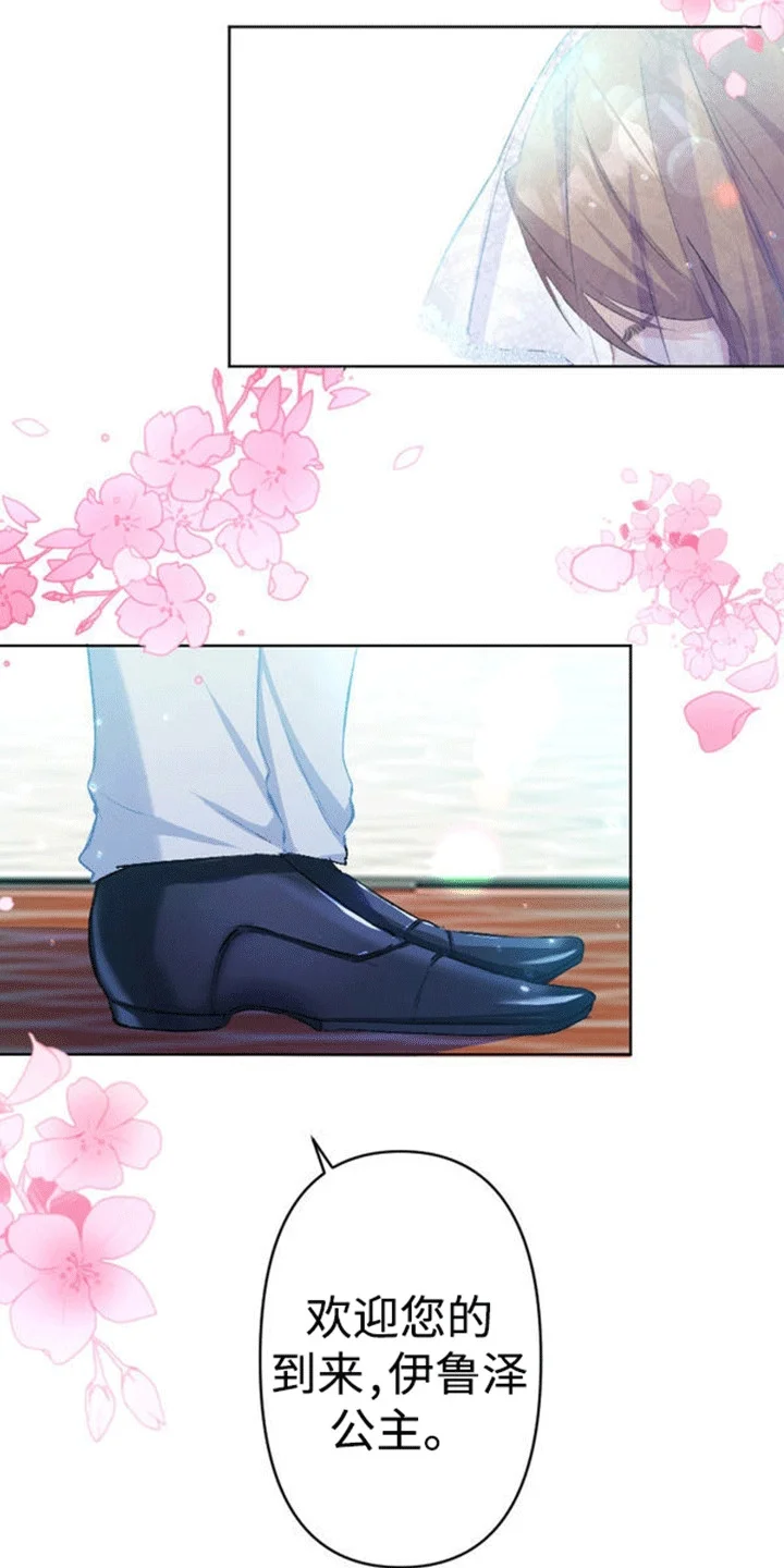 替嫁新娘 第10章：回到故国 第25页