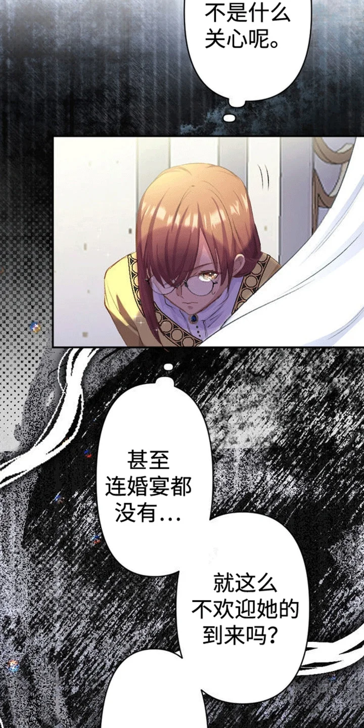 替嫁新娘 第11章：不被祝福的婚姻 第25页