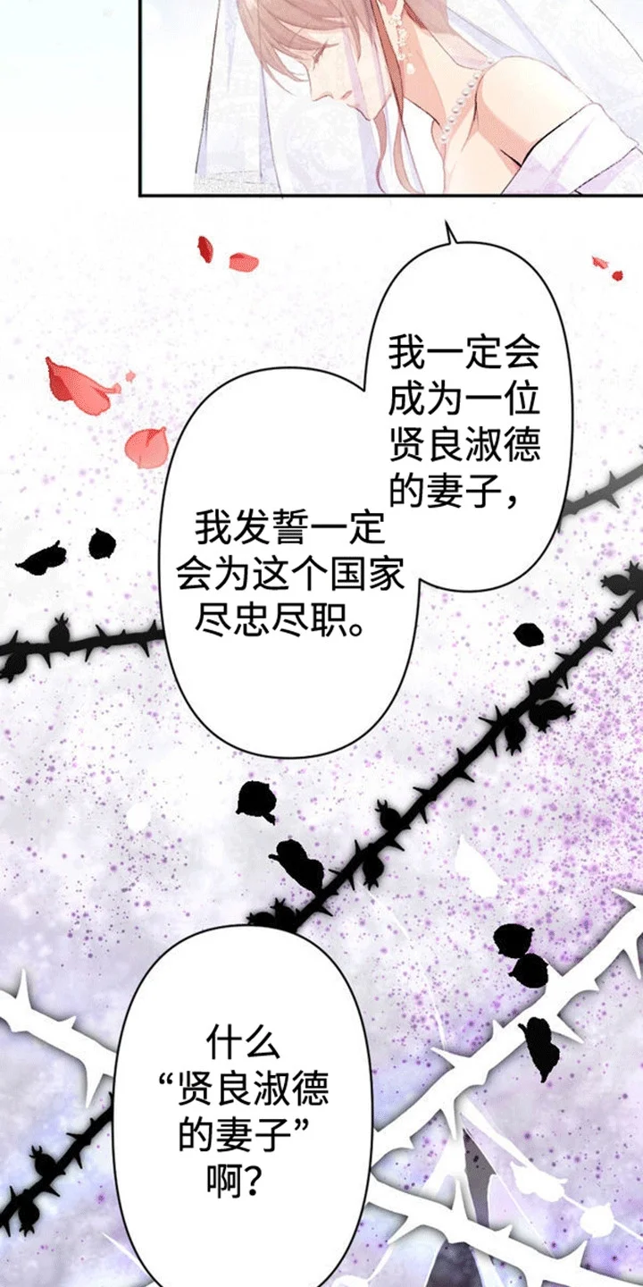 替嫁新娘 第11章：不被祝福的婚姻 第4页