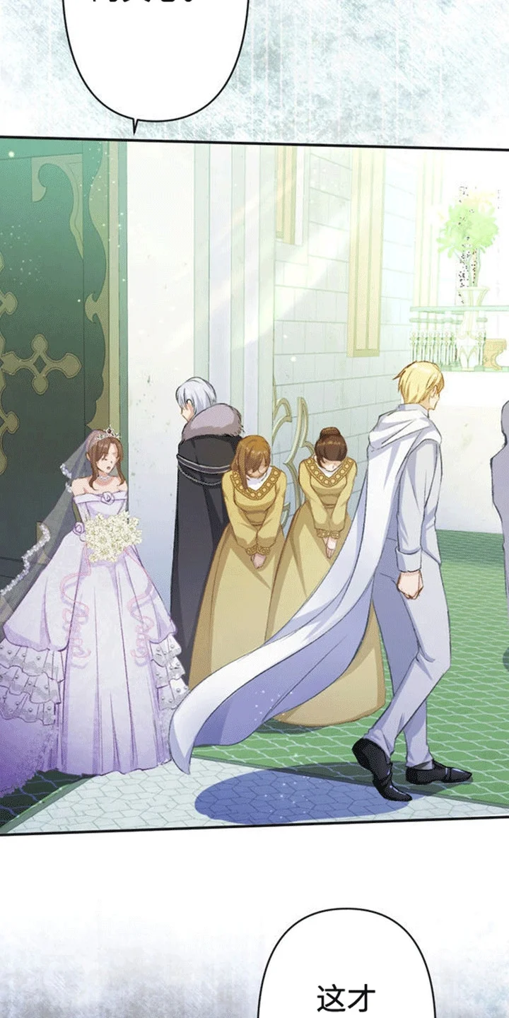 替嫁新娘 第11章：不被祝福的婚姻 第24页