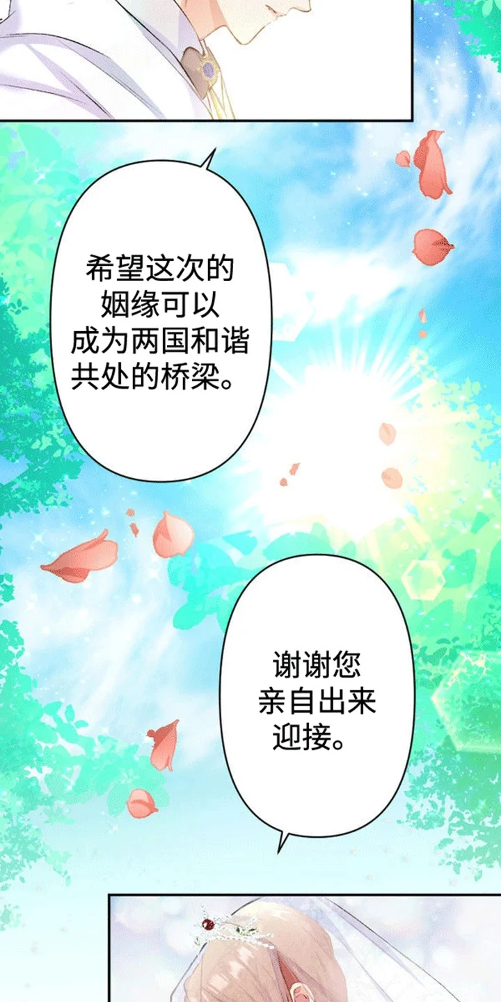替嫁新娘 第11章：不被祝福的婚姻 第3页