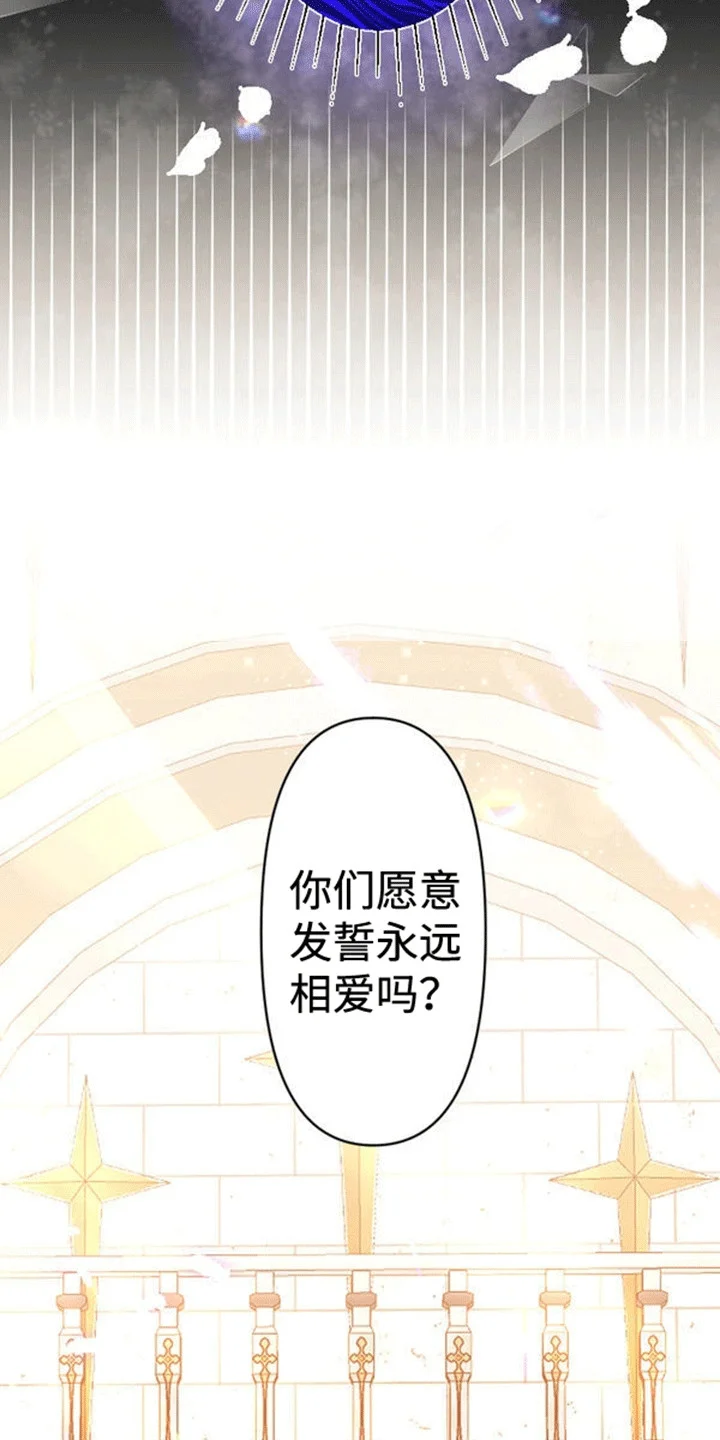 替嫁新娘 第11章：不被祝福的婚姻 第6页