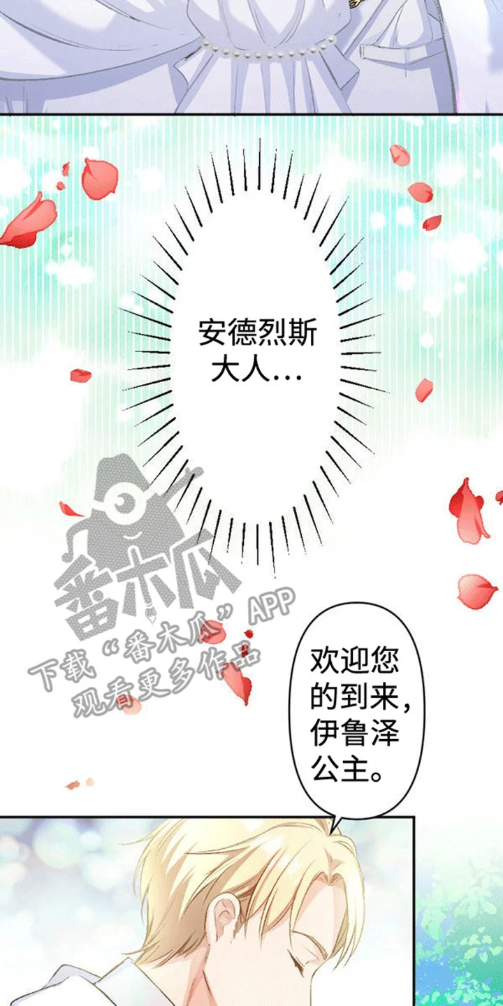 替嫁新娘 第11章：不被祝福的婚姻 第2页