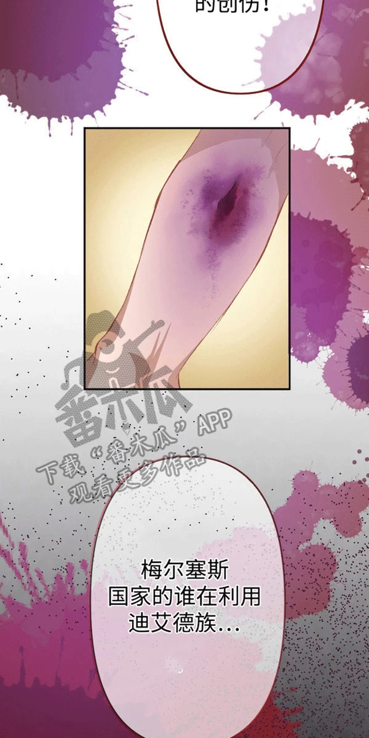 替嫁新娘 第12章：仇恨 第17页