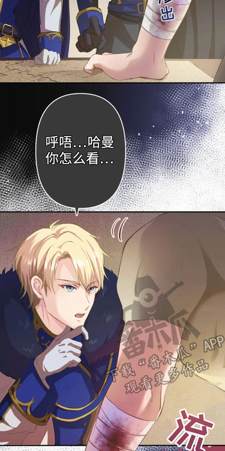 替嫁新娘 第12章：仇恨 第14页