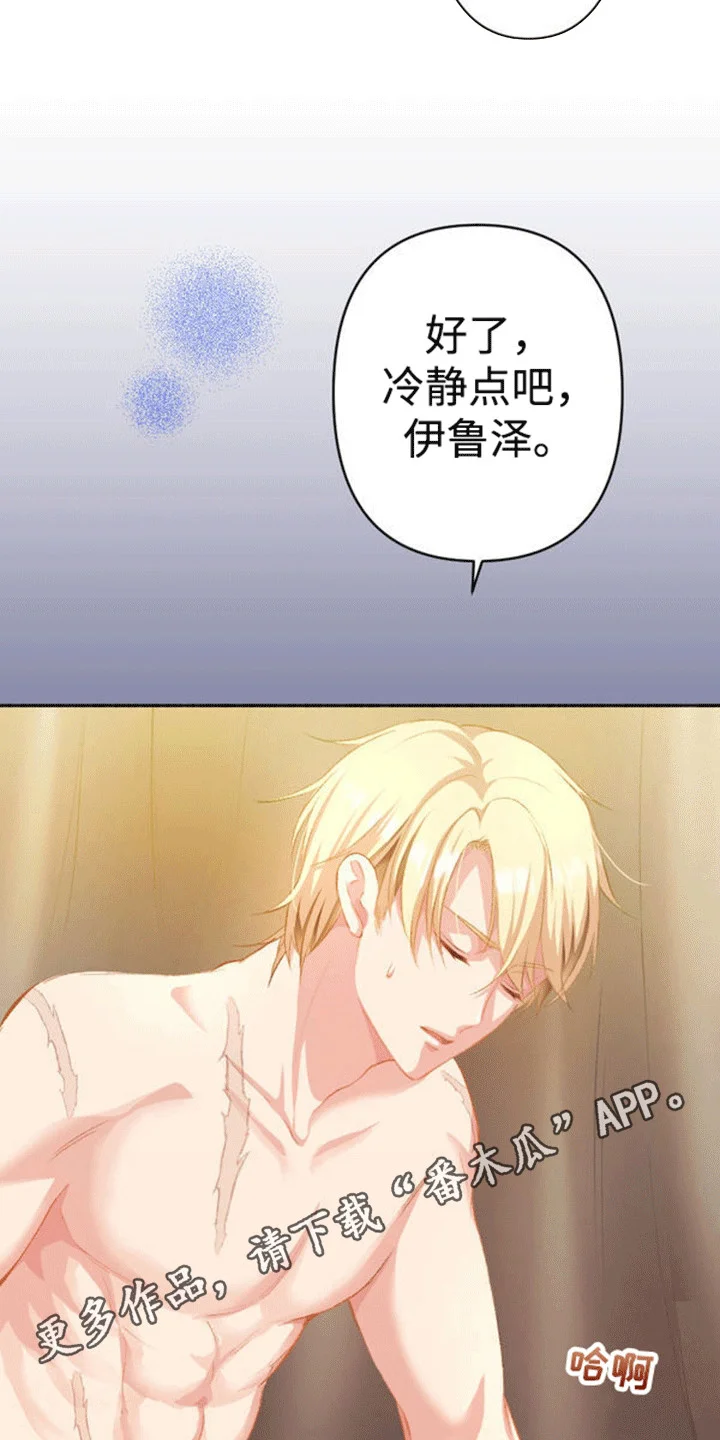 替嫁新娘 第17章：和平夜 第18页