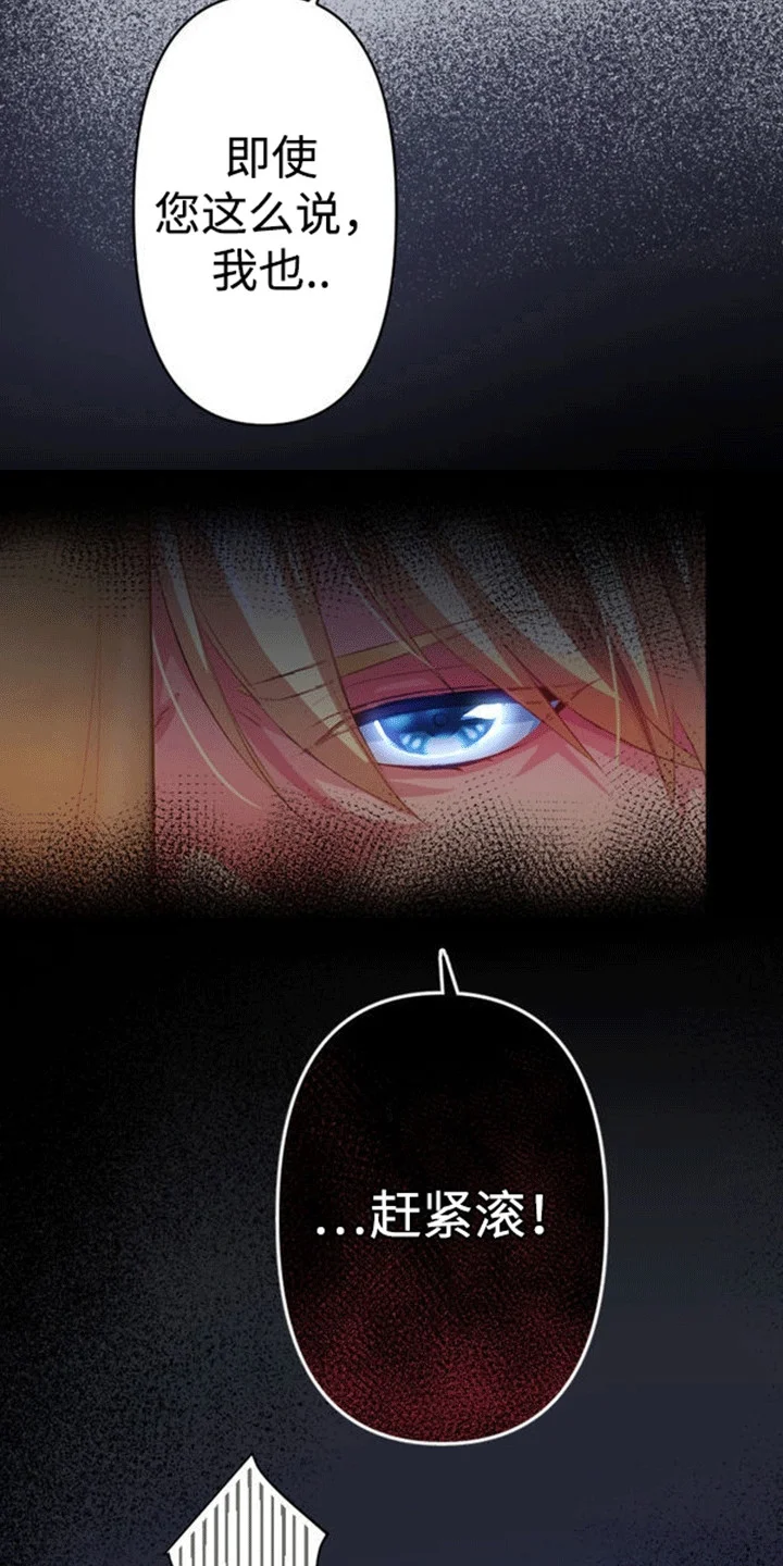 替嫁新娘 第17章：和平夜 第11页
