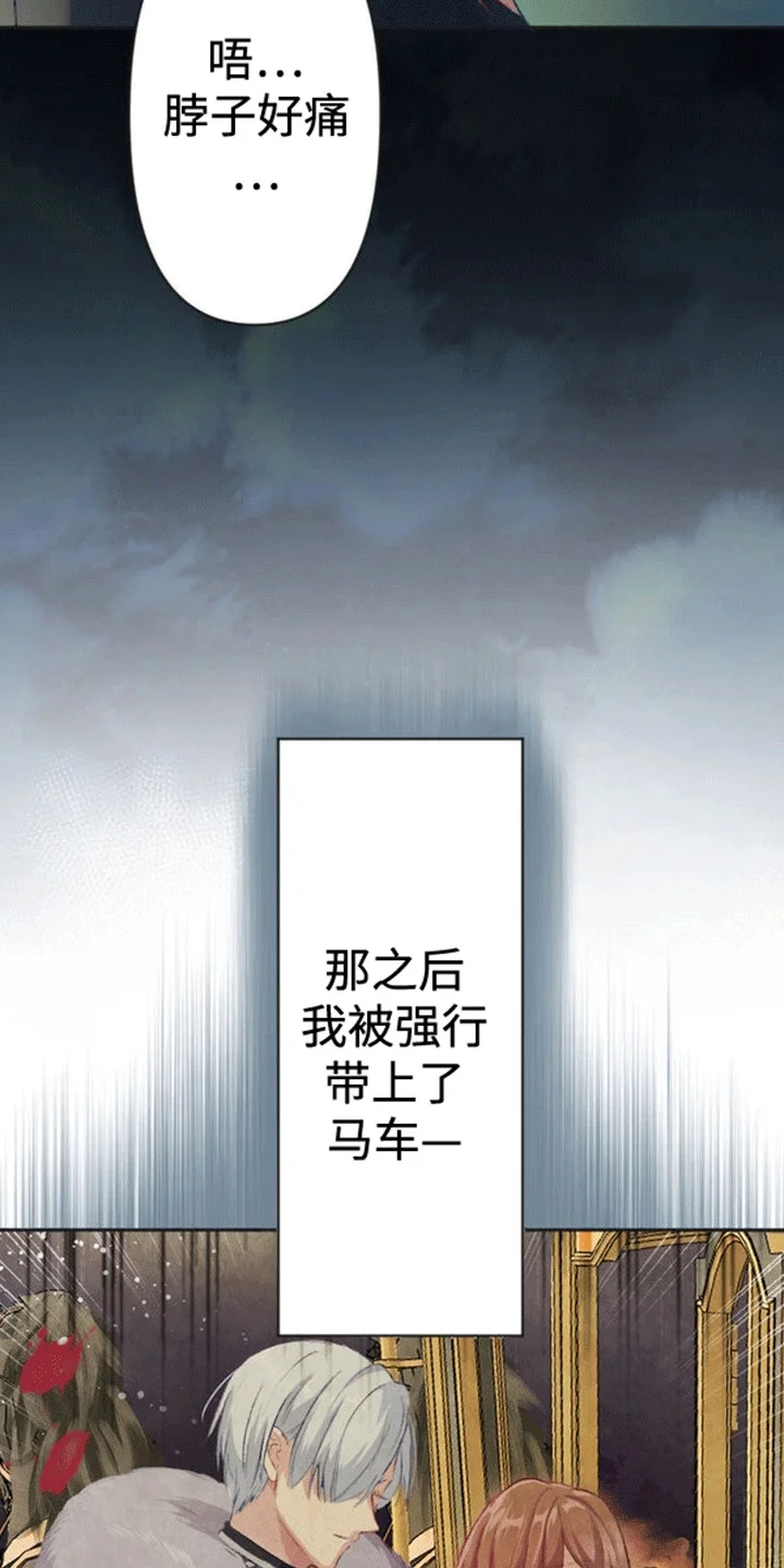 替嫁新娘 第4章：带走 第2页