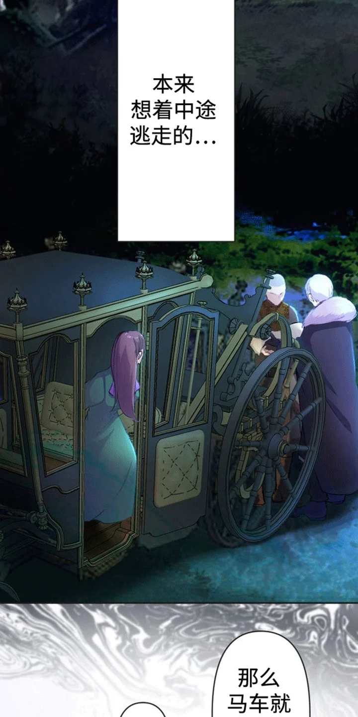 替嫁新娘 第4章：带走 第5页
