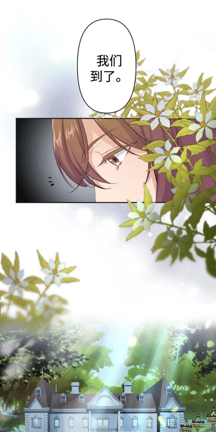 替嫁新娘 第4章：带走 第15页