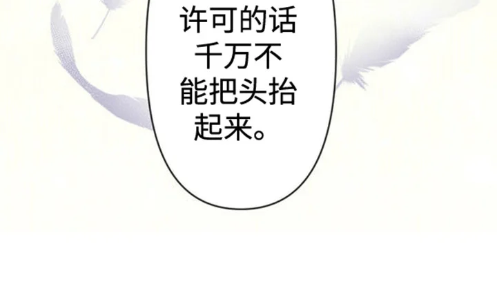 替嫁新娘 第4章：带走 第24页