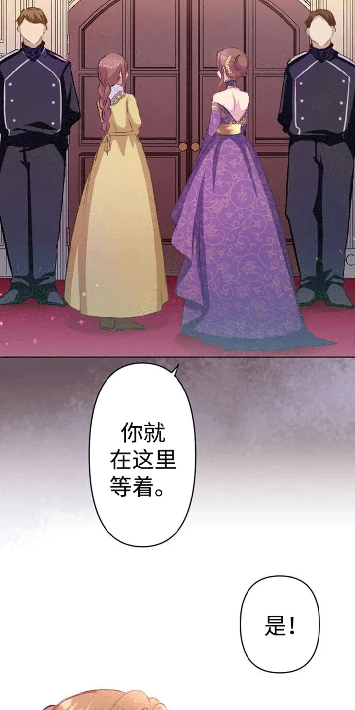 替嫁新娘 第9章：面见国王 第25页