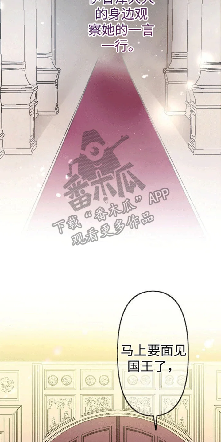 替嫁新娘 第9章：面见国王 第24页