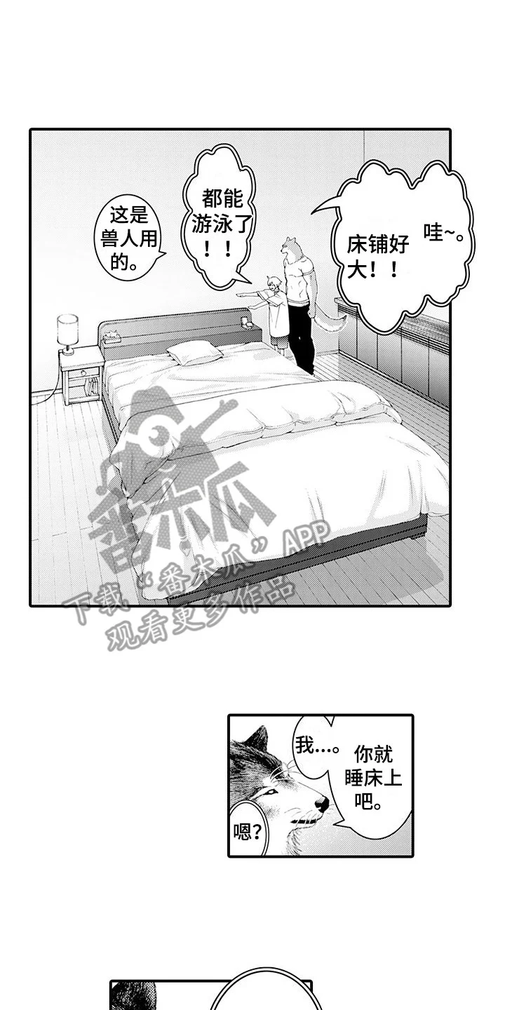 毛绒绒男友 第21章：变得喜欢 第12页