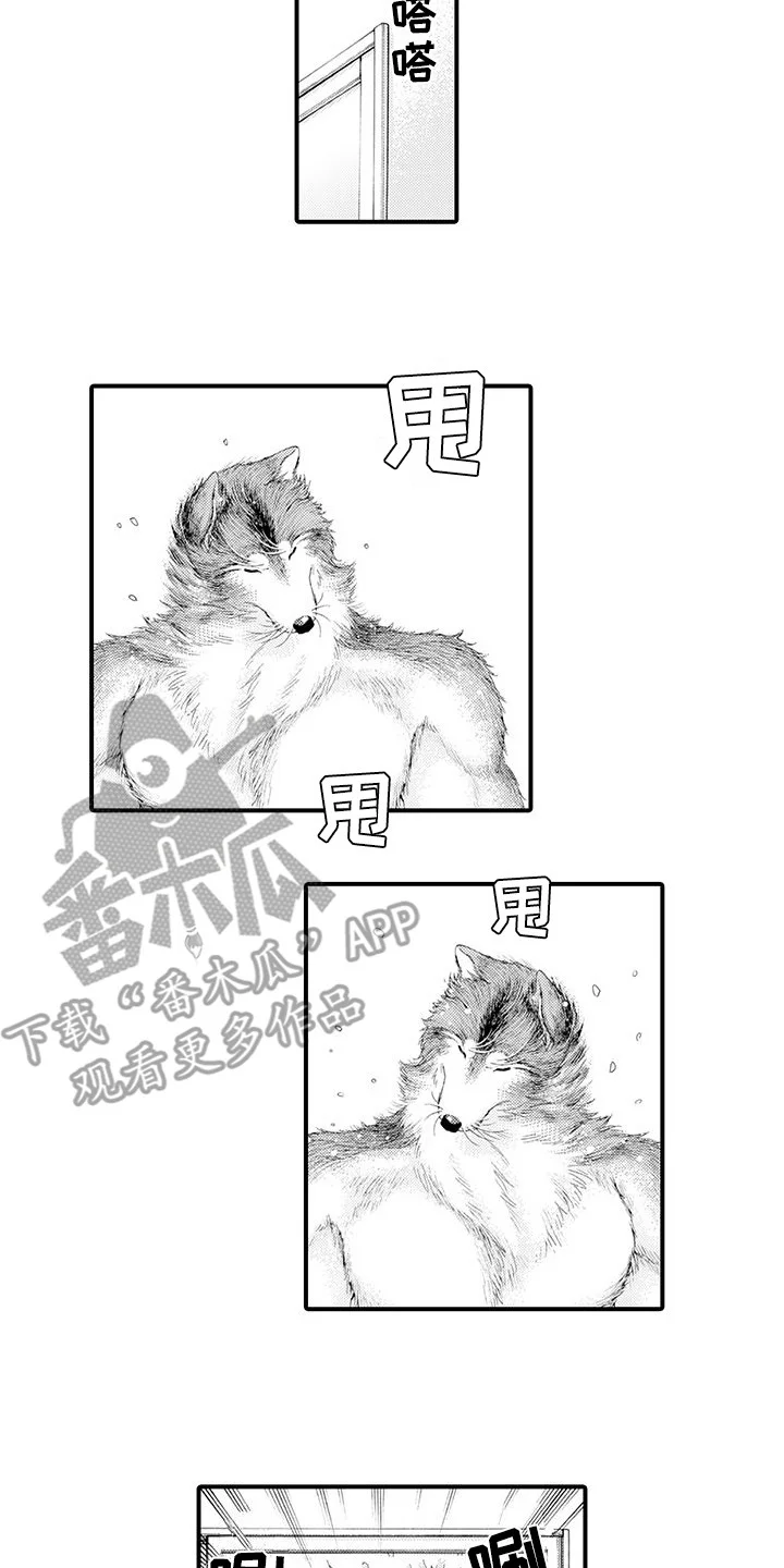 毛绒绒男友 第21章：变得喜欢 第6页